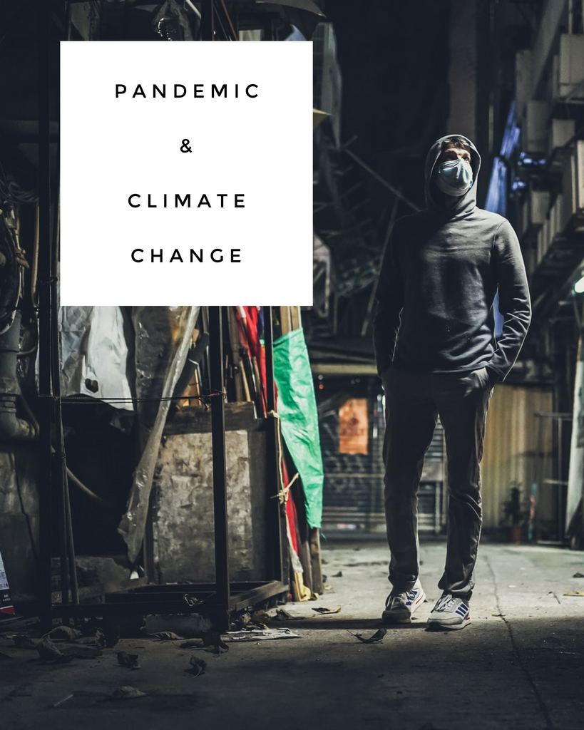 Pandemic and Climate Change - EcoShackNZ