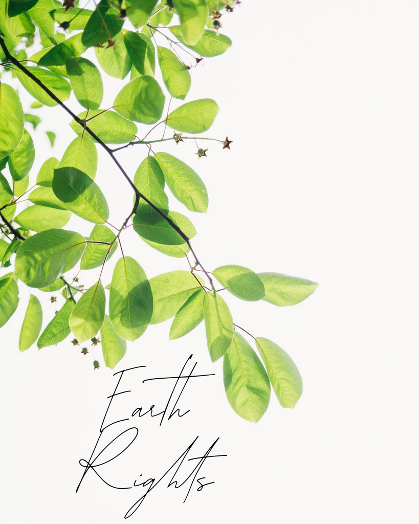 Earth Rights - EcoShackNZ