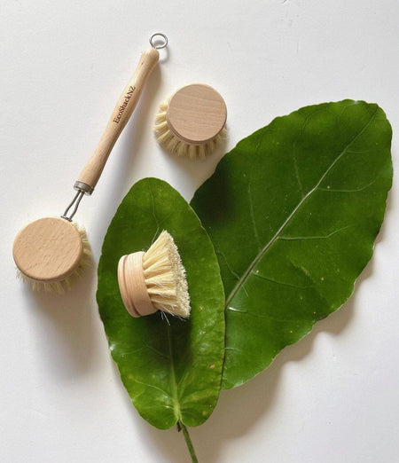 EcoShack Plastic-Free Dish Brush with Replaceable Head - EcoShackNZ