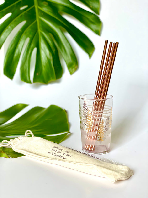 EcoShack Rose Goldy Metal Straws
